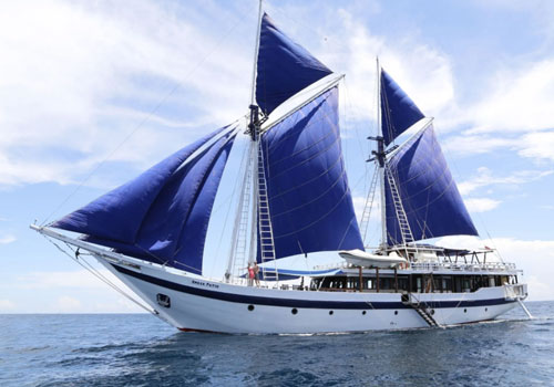 Luxury Phinisi Cruise