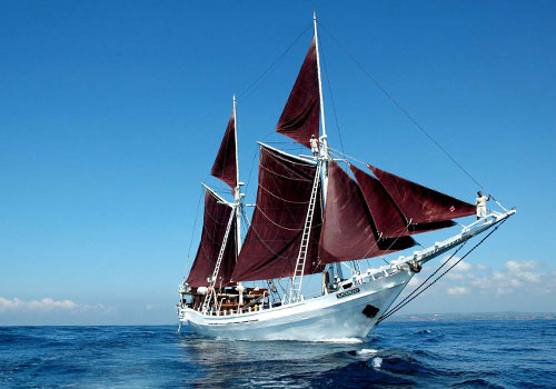 Komodo To Bali Cruise