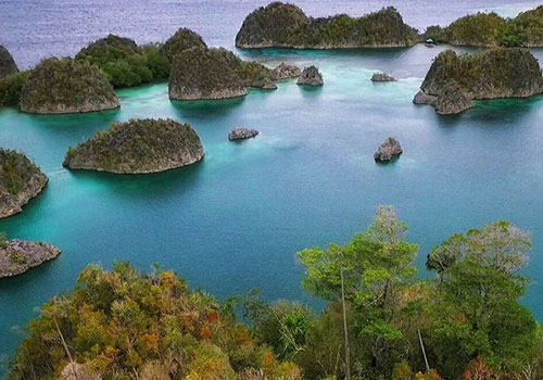 Pianemu Island, Raja Ampat