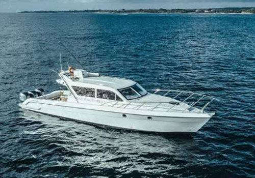 Bali Motor Yacht Accura 49