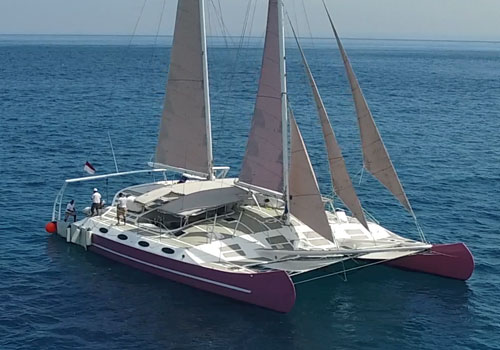 Bali Sailing Catamaran 82