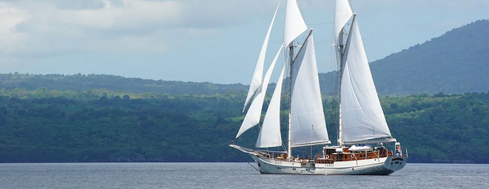 Mutiara Laut Liveaboard - Diving Site in Bunaken