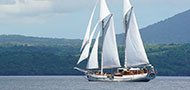 Mutiara Laut Liveaboard - Diving Site in Bunaken